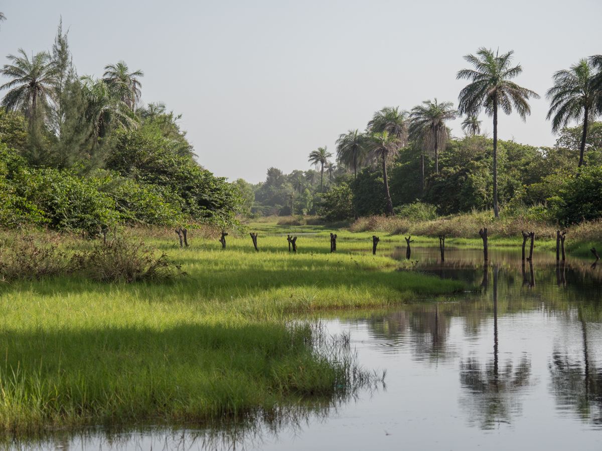 Casamance wetlands